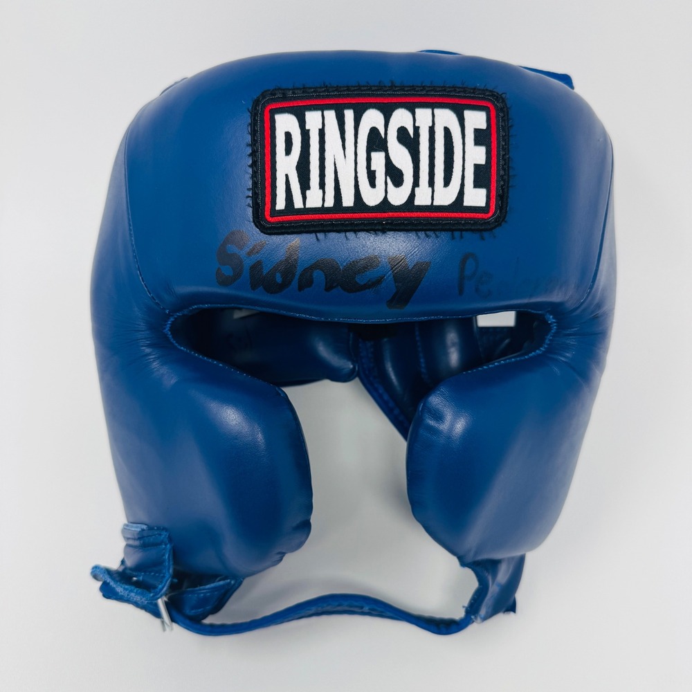Ringside USA Boxing Masters Approved Headgear Blue Leather Size Large MASTHG